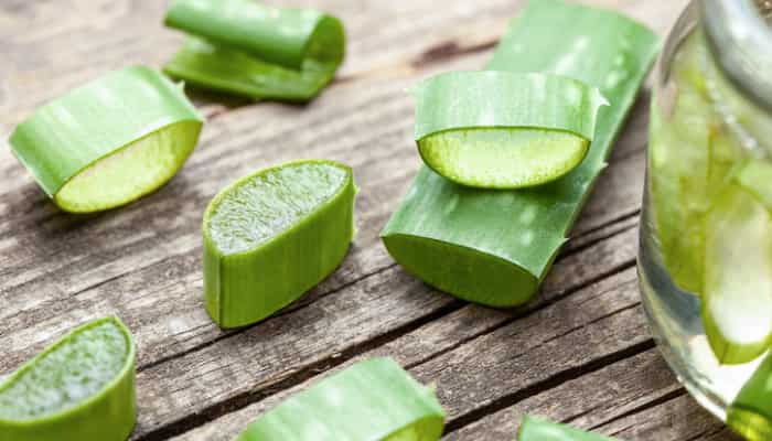 doterra aloe vera SPF 30 Lip Butter Display – Natural Inspirations main image 0