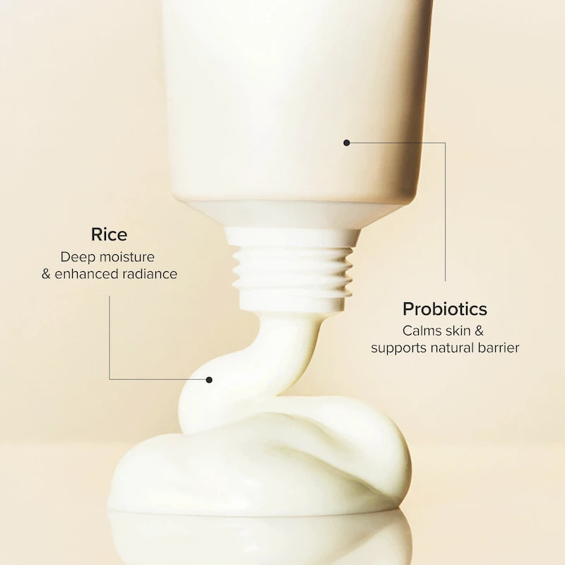 Crème solaire au riz et probiotiques Beauty of Joseon ingrédients hydratants peau sensible