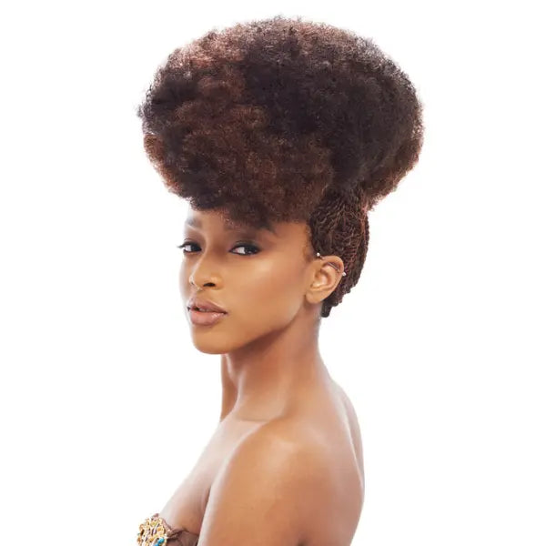 Mèches Afro Kinky Bulk 24 pouces X2 Janet Collection