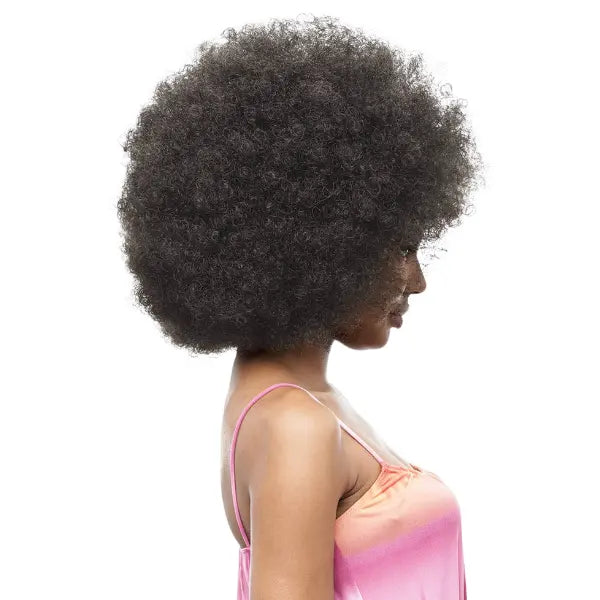 Perruque Afro Kinky Curly Noir Vanessa Hair