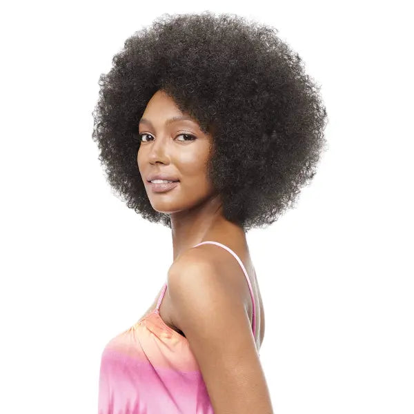 Perruque Super Afro Kinky Curly Noir Vanessa Hair
