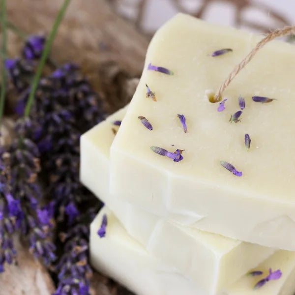 Savon Shampoing Solide BIO Simply Calm - Raw Roots