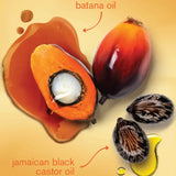 Routine Cantu ultra hydratante à base de huile de batana et huile de ricin noir de Jamaïque