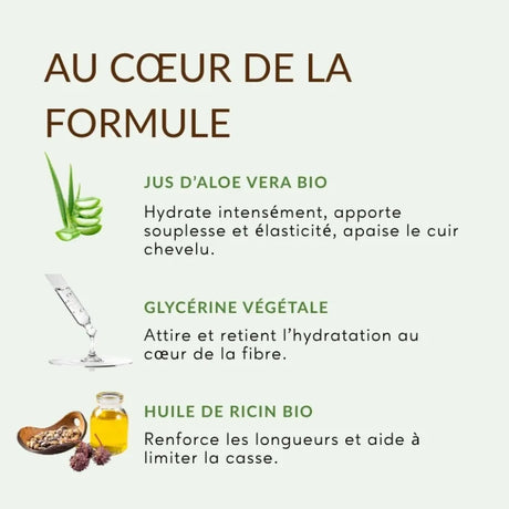 Bienfaits aloe vera et ricin bio dans le lait capillaire Carolina B pour cheveux  crépus et frisés