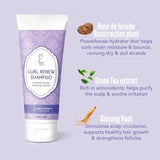 Shampoing Curl Renew Inhairitance enrichi en Rose de Jéricho, ginseng et thé vert pour purifier et hydrater les cheveux bouclés, frisés, crépus