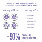 Leave-in Conditioner Daily Curl Booster - Inhairitance