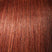 5X Mèches AFRO TWIST BRAID - Janet Collection - Mèches vanilles et twists - diouda