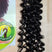 Mèches Afro Kinky X-Pression Crochet Braid 4A Kinky Loop 