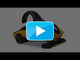 Lames de remplacement pour Rasoir - HeadBlade